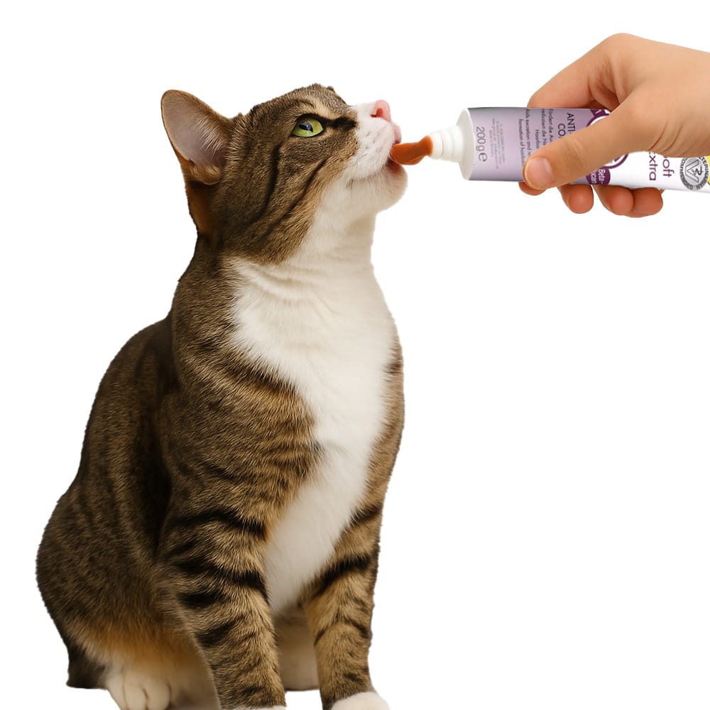 GIMCAT MALT-SOFT EXTRA KOT ODKŁĄCZAJĄCA 200g 3.jpg